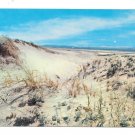 Massachusetts Sand Dunes Sandwich Beach Cape Cod MA Vintage Postcard Massachusetts Sand Dunes Sandwich Beach Cape Cod MA Vintage Postcard