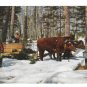 Gathering Sap for Vermont Maple Syrup Vintage Mike Roberts Postcard M Derick Photo