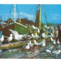 Feast of the Sea Gulls Dock Boats Birds Vintage Mike Roberts Postcard