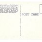 GA St Simons Island Fort Frederica Vintage Curteich Postcard