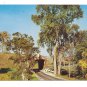3 Vermont Covered Bridges Bennington Chiselville Pittsford Vintage Postcards