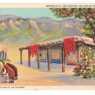 Southwestern Culture Mexican Native American Drying Chili Baking Bread Vintage Linen Postcard