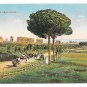 Italy Rome Via Appia Nuova Appian Way Vtg Autochrom Postcard