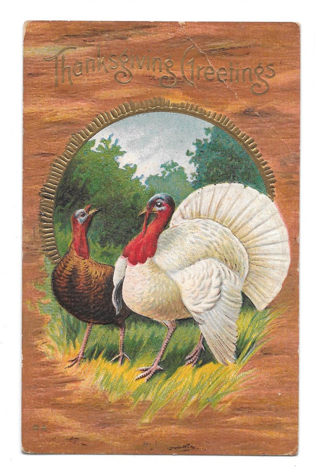 Thanksgiving Hen and White Tom Turkey Vintage E Nash 1910 Embossed ...