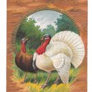 Thanksgiving Hen and White Tom Turkey Vintage E Nash 1910 Embossed Gilded Postcard