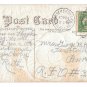 Thanksgiving Hen and White Tom Turkey Vintage E Nash 1910 Embossed Gilded Postcard