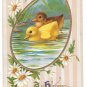 Happy Easter Swimming Ducklings Daisies Gold Frame Vintage Embossed Postcard