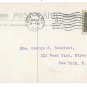 Easter Greetings White Narcissus Country Scene 1908 Vintage Winsch Back Postcard