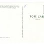 MI Michigan Grand Hotel Mackinac Island Tandem Carriage Front Drive Flags 1960 Postcard