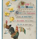 Welcome Easter Morning Embossed Rooster Hen Chicks Vintage Postcard