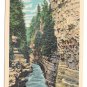 Adirondack Mountains Ausable River Chasm NY 3 Different Views 77 79 83 Linen Postcards