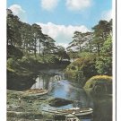 Ireland Glengariff Boats in The Blue Pool Vtg Irish Postcard 4X6