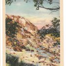 Yellowstone National Park WY Jupiter Terrace Vintage Haynes Linen Postcard Wyoming Yellowstone National Park WY Jupiter Terrace Vintage Haynes Linen Postcard Wyoming
