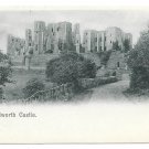UK Kenilworth Castle Vintage Lithograph Peacock Trademark UDB Postcard