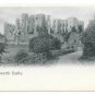 UK Kenilworth Castle Vintage Lithograph Peacock Trademark UDB Postcard
