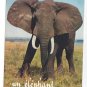 African Elephant Un Elephant ca Trompe Vintage 4X6 Collection Orion Postcard
