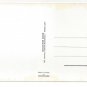 African Elephant Un Elephant ca Trompe Vintage 4X6 Collection Orion Postcard