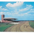 NJ Atlantic City Race Course New Jersey Track Grandstand Horses Racing Vintage Postcard