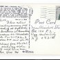 Lovers Oak Brunswick GA Vintage C L Marsh Postcard