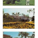 3 Walt Disney World Postcards Dumbo Topiary Crystal Palace Restaurant Polynesian Village