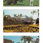3 Walt Disney World Postcards Dumbo Topiary Crystal Palace Restaurant Polynesian Village