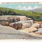 WY Yellowstone National Park Mammoth Hot Springs Terraces Vtg Haynes Wyoming Postcard