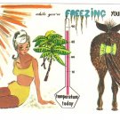 I'm suntanning in Florida while you're Freezing your A__ off  Vintage humor Postcard