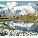 Switzerland Wollgras See Piz Cambrena Alps Bernina Pass Mountain Range 50s Postcard