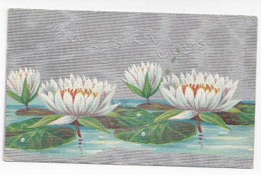 Easter Water Lilies Silver Moire Background Posted 1909 Winsch Back Embossed Postcard