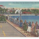 Clearwater FL Fishing from Causeway Bridge Curteich 1951 Linen Postcard Clearwater FL Fishing from Causeway Bridge Curteich 1951 Linen Postcard