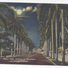 Florida Royal Palm Avenue by Moonlight Curteich Linen Postcard Florida Royal Palm Avenue by Moonlight Curteich Linen Postcard
