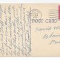Florida Royal Palm Avenue by Moonlight Curteich Linen Postcard