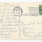 St Petersburg FL Wild Animal Ranch Dressed Chimpanzees Romance 1951 Curteich Linen Postcard