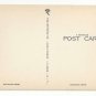 FL Tallahassee Florida State Capitol Vntg Mayrose Co 1940s Collotype Postcard
