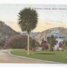CA Santa Catalina Island Descanso Canyon Vintage California Postcard