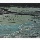 Mendocino Coast California Flood Tide Entering Big River Vintage CA 70s Postcard