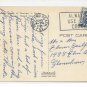 Birds Pink Flamingos Florida Hialeah Race Course Courtesy Photo Vintage Postcard