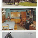 Lancaster PA Amish Farm and House Family Horse and Buggy 3 James Hess Postcards