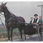 Lancaster PA Amish Farm and House Family Horse and Buggy 3 James Hess Postcards