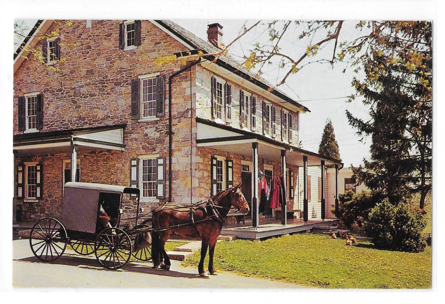 Lancaster PA Amish Farm and House Family Horse and Buggy 3 James Hess