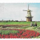 Holland Michigan Island Gardens De Zwaan Original Dutch Windmill Postcard