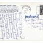 Ozarks Livin Hillbilly Style Family Portrait Maw Paw Kids Dog Missouri 1967 Postcard