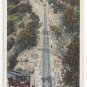 CA Mt. Lowe The Great Incline Electric Trolley Railway RR Vtg Postcard