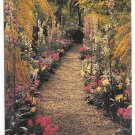Longwood Gardens Kennett Square PA Flower Line Path Primulas Acacia Vintage Postcard Longwood Gardens Kennett Square PA Flower Line Path Primulas Acacia Vintage Postcard
