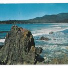 WA Beach Scene Cape Flattery Washington Rocky Coast Josef Scaylea Photo 50s Postcard
