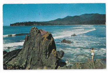WA Beach Scene Cape Flattery Washington Rocky Coast Josef Scaylea Photo 50s Postcard
