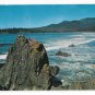 WA Beach Scene Cape Flattery Washington Rocky Coast Josef Scaylea Photo 50s Postcard
