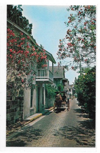 Florida St Augustine Aviles Street Horse Drawn Carriage Vintage FL Postcard