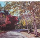 Winding Road Thru Autumn Woods Nature Dexter Beauty Scene No 25 Vintage 50s Postcard