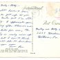 Stellar Sea Lions Rocks Ocean Vintage Continental 4X6 postcard 1970s